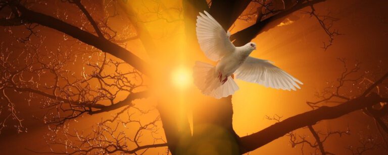 How to Know You Have the Holy Spirit: 7 Signs of His Presence