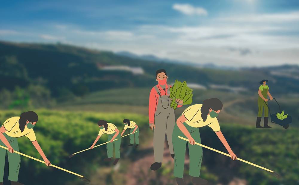 Sowing and reaping