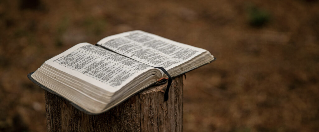 The covenants of God