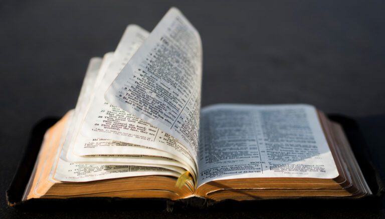 What Does The Bible Say About Homosexuality?